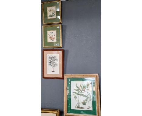 Mixed group of four coloured botanical prints in various frames.  (4)   (B.P. 21% + VAT) 