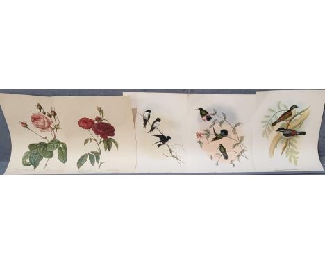 Five ornithological and botanical coloured prints of roses, hummingbirds etc.   (5)  Unframed.  (B.P. 21% + VAT) 