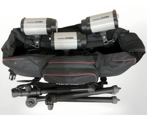 A Neewer studio lighting kit in carry bag 