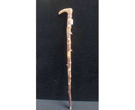 A FOLK ART WALKING STICK CARVED WITH ANIMALS to the projecting knots; lion, kangaroo, bear wolf etc, with bird's head handle 