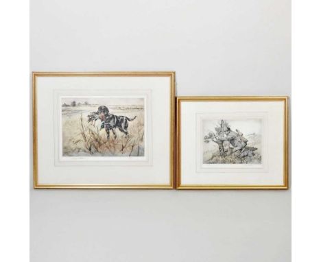 ARR Henry Wilkinson, 1921-2011, labrador retrieving a mallard, signed in pencil and numbered 8/180, coloured etching, 24 x 34