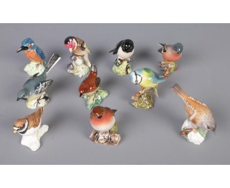 Eight Beswick bird figures along with Royal Worcester and Goebel examples. Includes Kingfisher, Grey Wagtail, Blue Tit, Robin