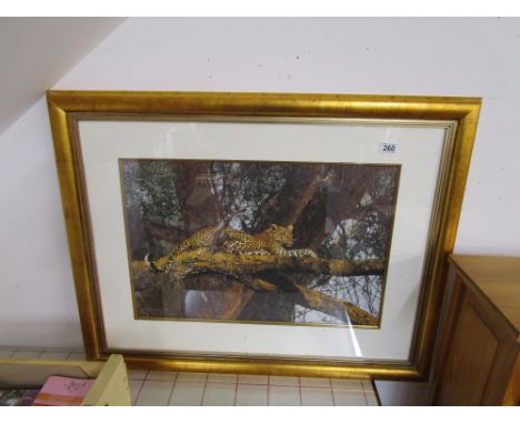 Large print in gilt frame - Leopard