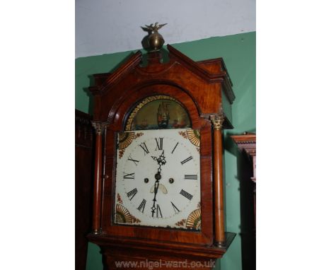 A well polished mixed hardwoods cased Longcase Clock having light and darkwood stringing and intricate inlaid shell to the do