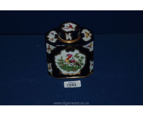 A Continental porcelain tea Caddy with hand painted panels of birds, butterflies and bugs on a deep blue background, possibly