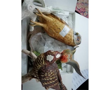 A Goebel great spotted woodpecker, together with robin with young cuckoo, barn owl, smaller owl, robin, together with golden 