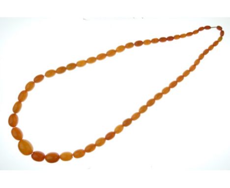 Graduated row of amber beads, the fifty-three barrel shaped beads of approximately 1cm to 2.4cm in length, 72cm long overall,