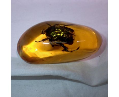 Green beetle preserved in amber tree resin. UK P&amp;P Group 1 (£16+VAT for the first lot and £2+VAT for subsequent lots)&nbs