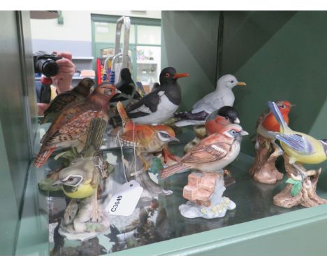 Sixteen Ceramic model bird figurines, some with wooden plinths  see photos.