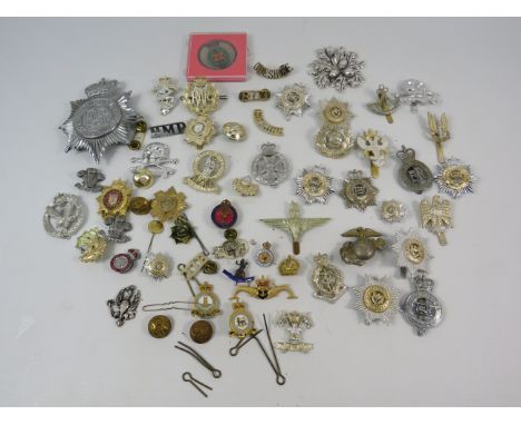 Large selection of mainly reproduction military cap badges plus some enamel pin badges.