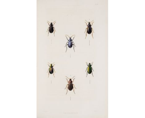 Darwin (Charles).- Stephens (James Francis) Illustrations of British Entomology; or, a Synopsis of Indigenous Insects..., vol