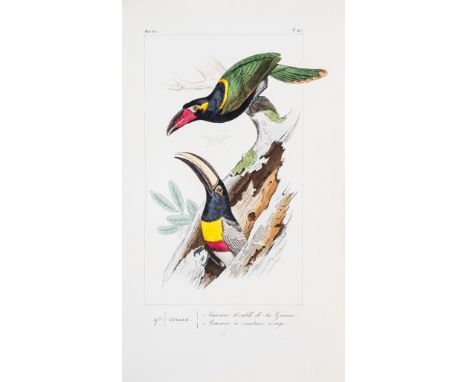 Prévost (Florent) and C.L. Lemaire. Histoire Naturelle des Oiseaux Exotiques, ink gift inscription to front endpaper dated 18