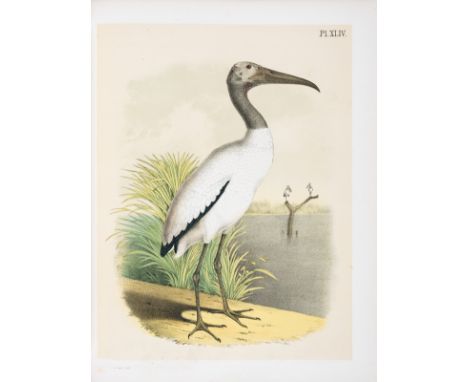 America.- Jasper (Theodore) The Birds of North America, 119 chromolithograph plates, occasional foxing, affecting some plates