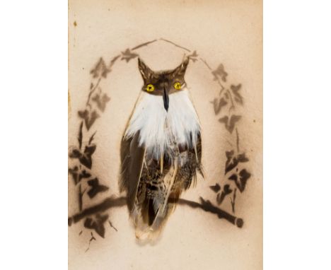 NO RESERVE Birds.- Collection of bird plates using their respective feathers, 11 plates, hand-coloured background with birds 