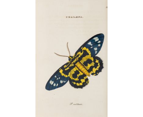 Wood (William) Illustrations of the Linnaean Genera of Insects, 2 vol. in 1, first edition, 86 hand-coloured engraved plates,