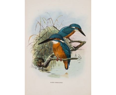 Sharpe (Richard Bowdler) A Monograph of the Alcedinidae: or, Family of Kingfishers, first edition, hand-coloured lithographed