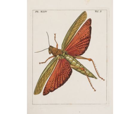 Drury (Dru) Illustrations of Natural History...Exotic Insects, vol.1 &amp; 2 only (of 3) bound in 1, first edition, text in E