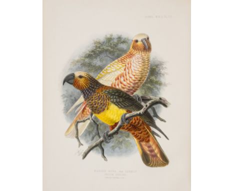 Buller (Sir Walter Lawry) A History of the Birds of New Zealand, 2 vol., second edition, 48 chromolithograph plates after J.G