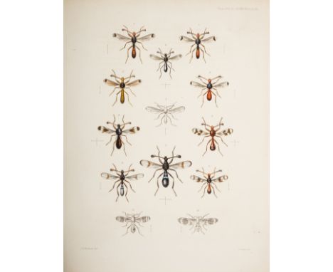 Flies.- Westwood (John Obadiah) On Diopsis, a Genus of Dipterous Insects... [&amp;] Descriptions of some new Species of Diops