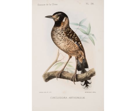 Daivd (Armand) and E. Oustalet, Les Oiseaux de la Chine, 2 vol., first edition, half-titles, 124 engraved plates with fine ha