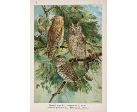 Naumann (Johann Andreas) Naturgeschichte der Vogel Mitteleuropas, 12 vol., 439 chromolithograph plates, 10 plain plates, some