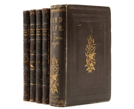Rymer Jones (Thomas) Cassell's Book of Birds. From the text of Dr. Brehm, 4 vol., numerous plates in colour, wood-engraved il