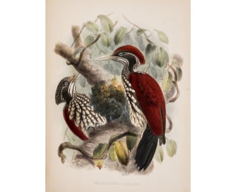 Sri Lanka.- Legge (Capt. W. Vincent) A History of the Birds of Ceylon, first edition, hand-coloured engraved map frontispiece