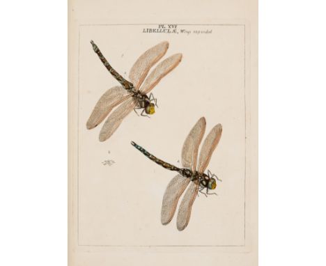 Harris (Moses) An Exposition of English Insects, second edition, second issue, hand-coloured engraved frontispiece 'Scheme of