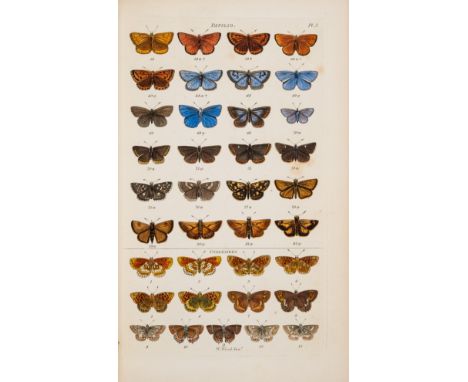 Wood (William) Index Entomologicus; or, A Complete Illustrated Catalogue... of the Lepidopterous Insects of Great Britain, 54