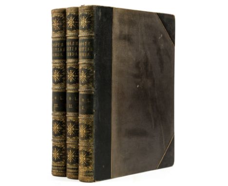Booth (Edward Thomas) Rough Notes on the Birds Observed during Twenty-five years' Shooting and Collecting in the British Isla
