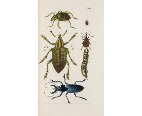 Wakefield (Priscilla) An Introduction to the Natural History and Classification of Insects, in a series of Familiar Letters, 