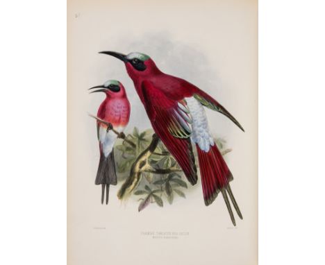 Dresser (Henry Eeles) Monograph of the Meropidae, or Family of Bee-eaters, first edition, 34 hand-coloured lithographed plate