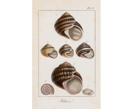 Brard (Cyprien Prosper) Histoire des Coquilles Terrestres et Fluviatiles qui vivent aux environs de Paris, half-title, errata