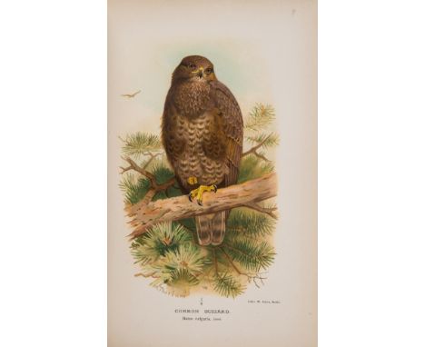 Lilford (Lord) Coloured Figures of the Birds of the British Islands, 7 vol., first edition, portrait photogravure frontispiec