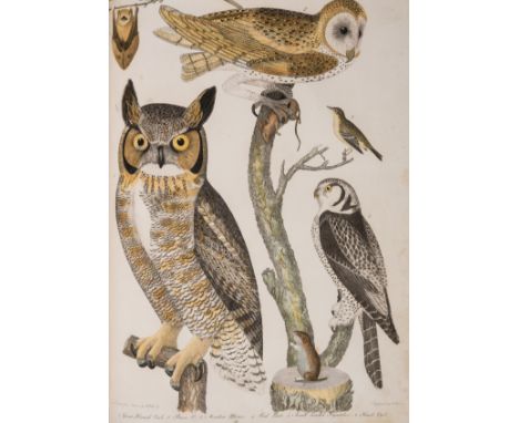 Wilson (Alexander) American Ornithology; or, The Natural History of the Birds of the United States, 9 vol., first edition, su