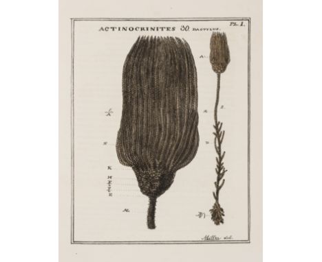Miller (John Samuel) A Natural History of the Crinoidea, or Lily-shaped Animals; with Observations on the Genera, Asteria, Eu