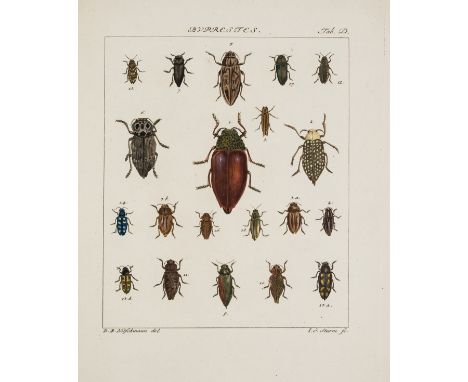 Pallas (Peter Simon) Icones insectorum praesertim Rossiae Sibiriaeque peculiarum, parts 1-3 only (of 4) bound in 1 vol., firs