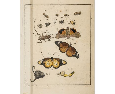 *** Please note, the description of this lot has changed ***Schreber (Johann Christian Daniel) Novae species insectorum, 16pp