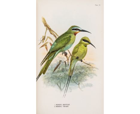 Shelley (Capt. G.E.) A Handbook to the Birds of Egypt, first edition, 14 lithographed plates with fine hand-colouring, some h