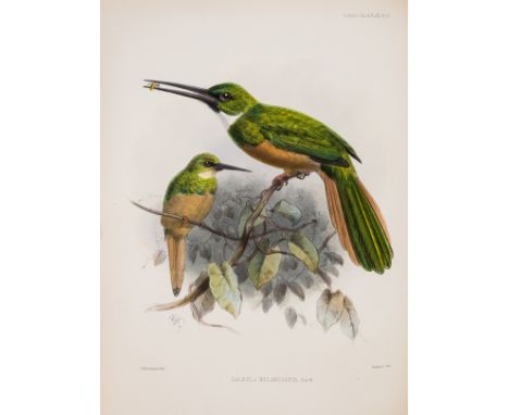 Sclater (P.L.) A Monograph of the Jacamars and Puff-Birds, or Families Galbulidae and Bucconidae, bound from the original 7 p