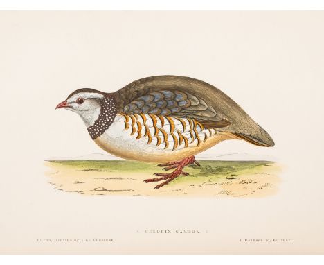 Chenu (Jean Charles) Ornithologie de Chasseur, first edition, 45 hand-coloured lithograph plates only (of 50), 2 plates loose