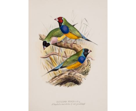 Butler (Arthur G.) Foreign Finches in Captivity, first edition, 60 hand-coloured lithographed plates after F.W. Frohawk, heig
