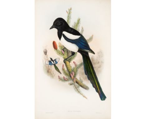 Gould (John) The Birds of Great Britain, vol. 3 only (of 5), first edition, 76 hand-coloured lithograph plates, occasional li