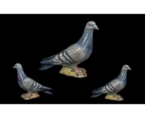 Beswick Hand Painted Bird Figure ' Pigeon ' First Version. Model No 1383A. Issued 1955 - 1972. Designer Mr Orwell. Height 5,5