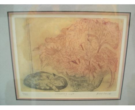 Deidre BORLASE (born 1925) limited edition (2/50) hand coloured etching "The sleeping cat", signed in pencil, framed,16 x 20 