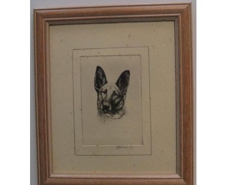 Ronald Basil Emsley WOODHOUSE (1897-?) etching "Head of German Shepherd", signed in pencil,11 x 16 cm with the overall framed