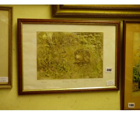 ARTIST PROOF PRINT - HARES PETER PARTINGTON F/G