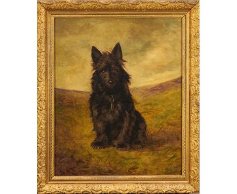 English School, early 20th century, oil on canvas - portrait of a Scottie, Hamish, aged 4, 61cm x 51cm, in gilt frame