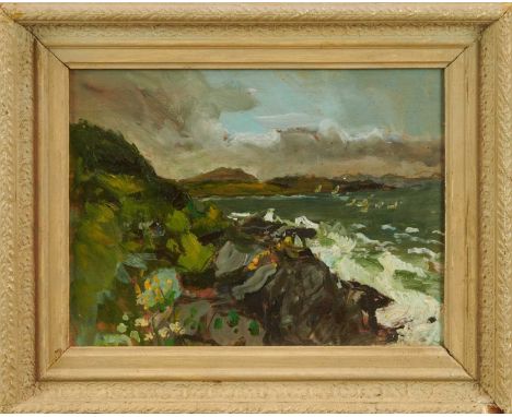 Gabriel Summers (b. 1962) oil on board - Isle of Lewis, near Borve, a further sketch verso, 24cm x 32cm, in painted frameProv
