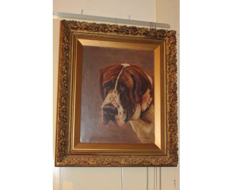 19th/20th century school, portrait of a St Bernard dog, oil on canvas, unsigned, 44.5cm by 34.5cm